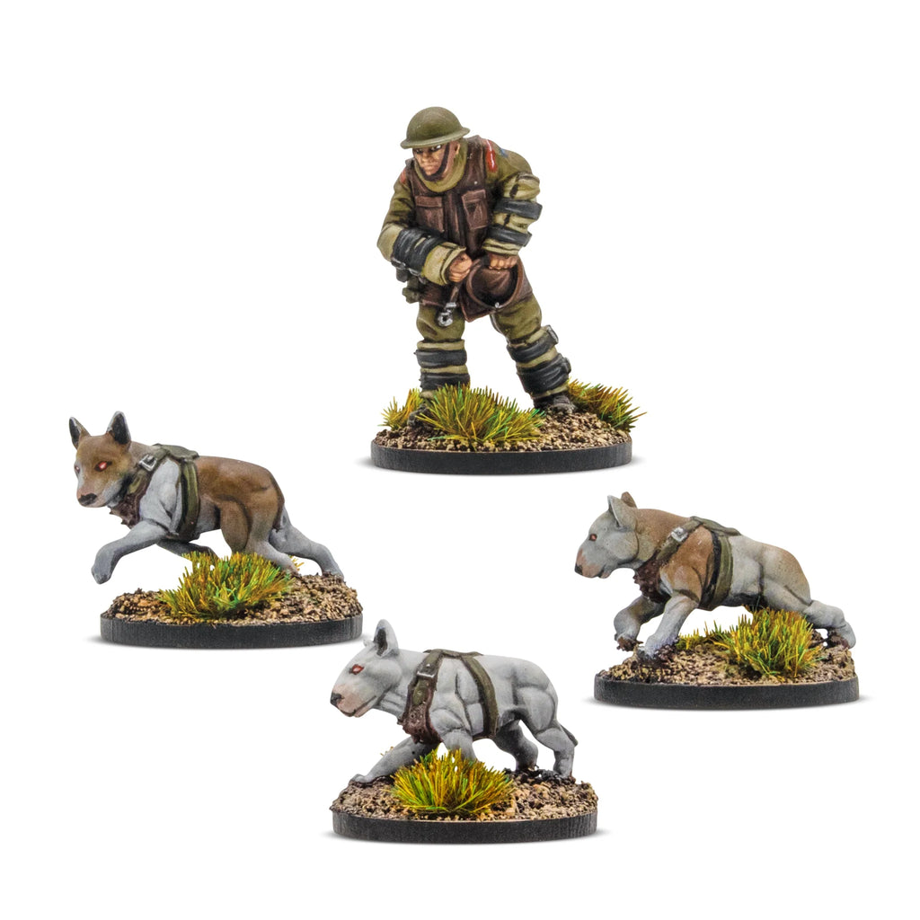 Konflikt '47: Cerberus Squad 1