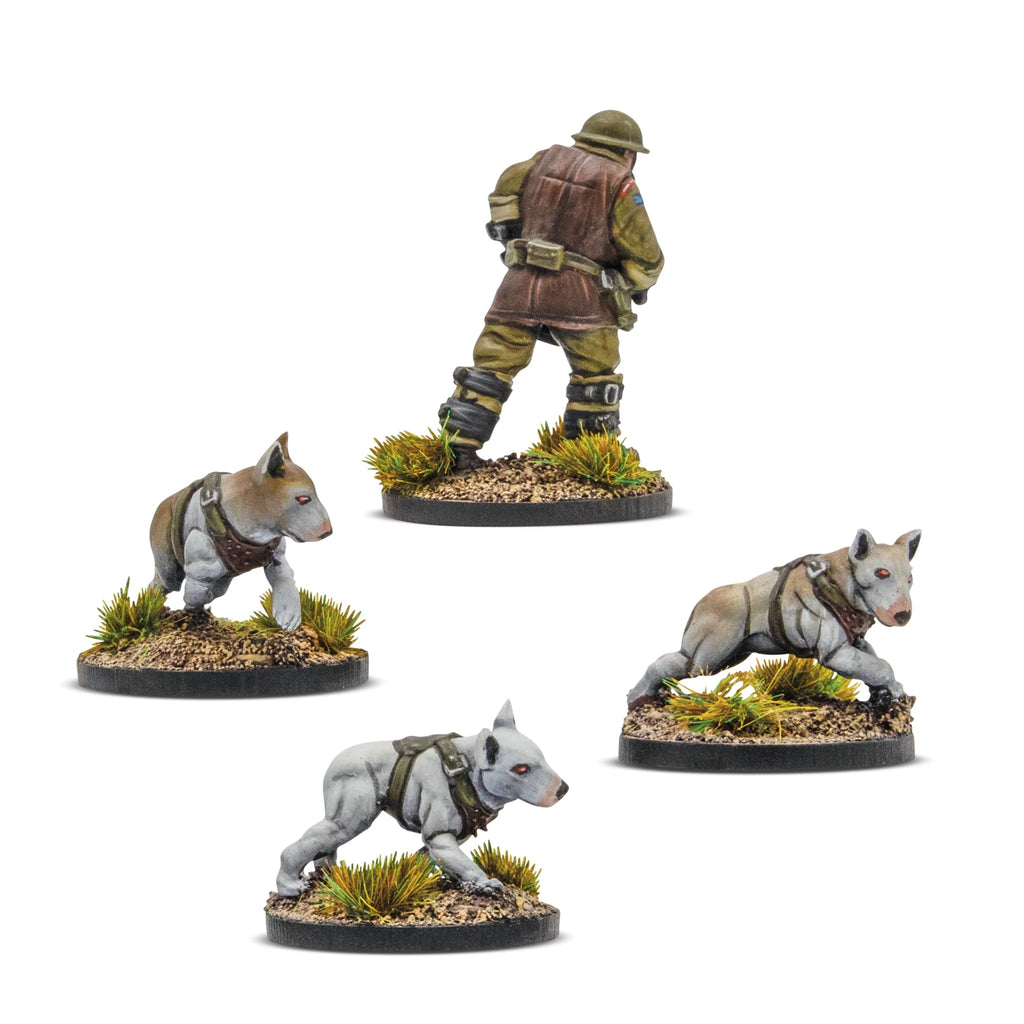 Konflikt '47: Cerberus Squad 1