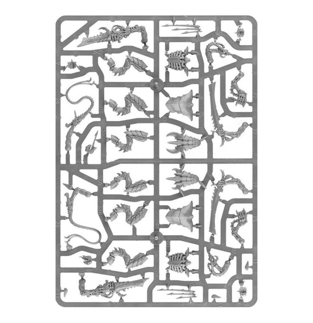 Tyranids: Tyranid Warriors