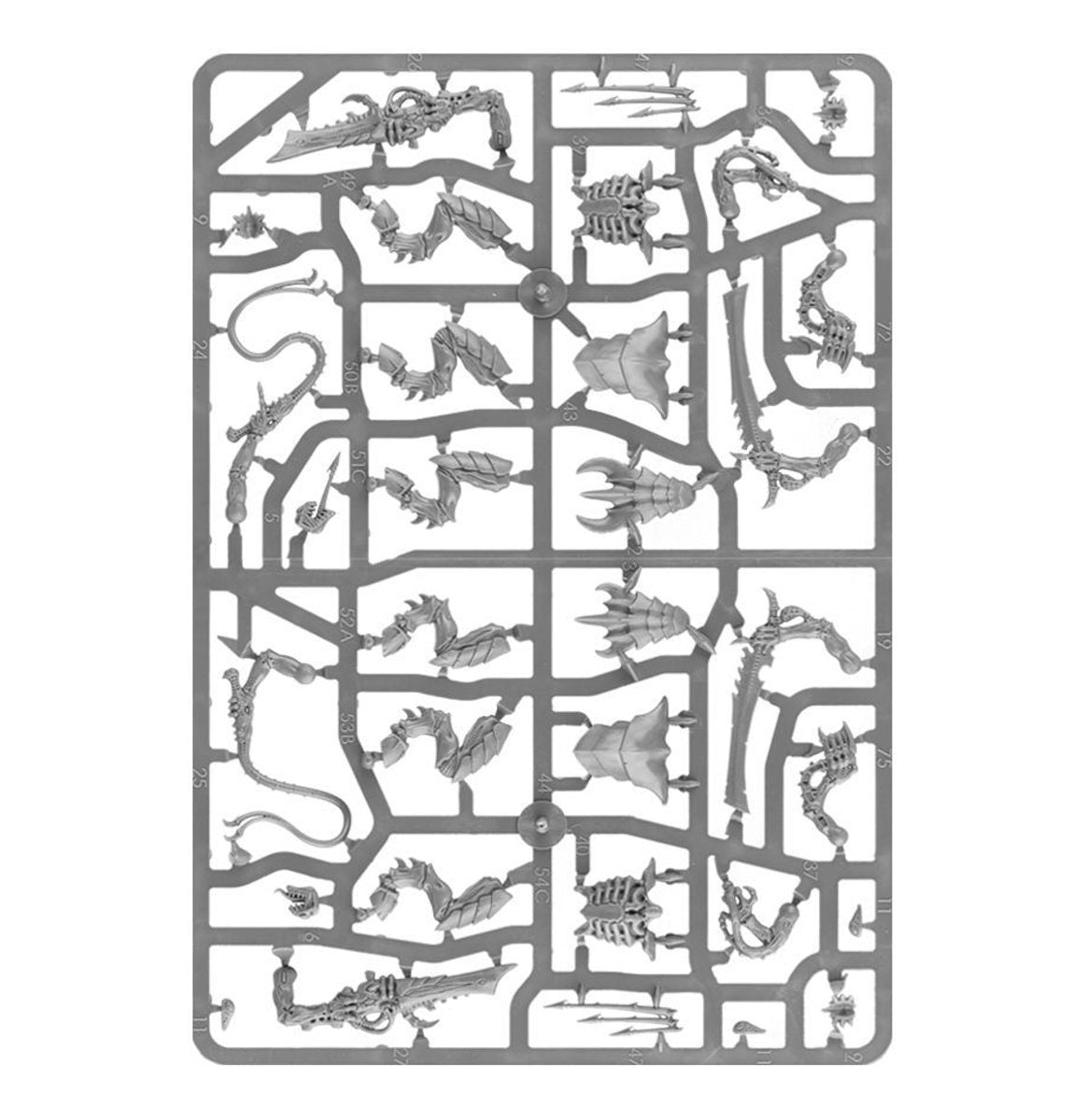 Tyranids: Tyranid Warriors