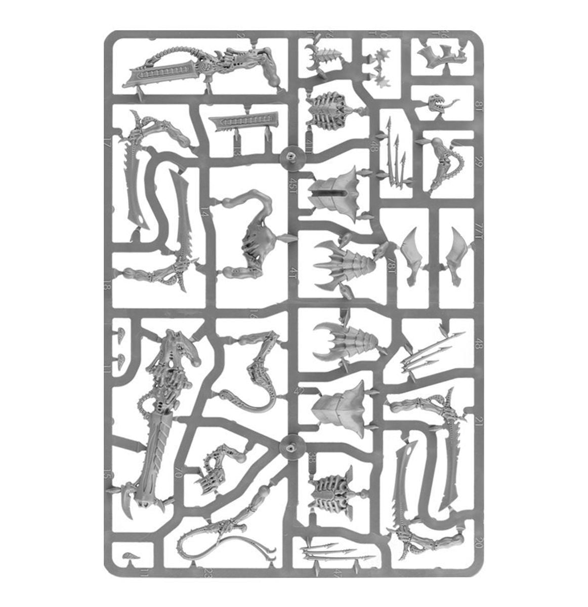Tyranids: Tyranid Warriors